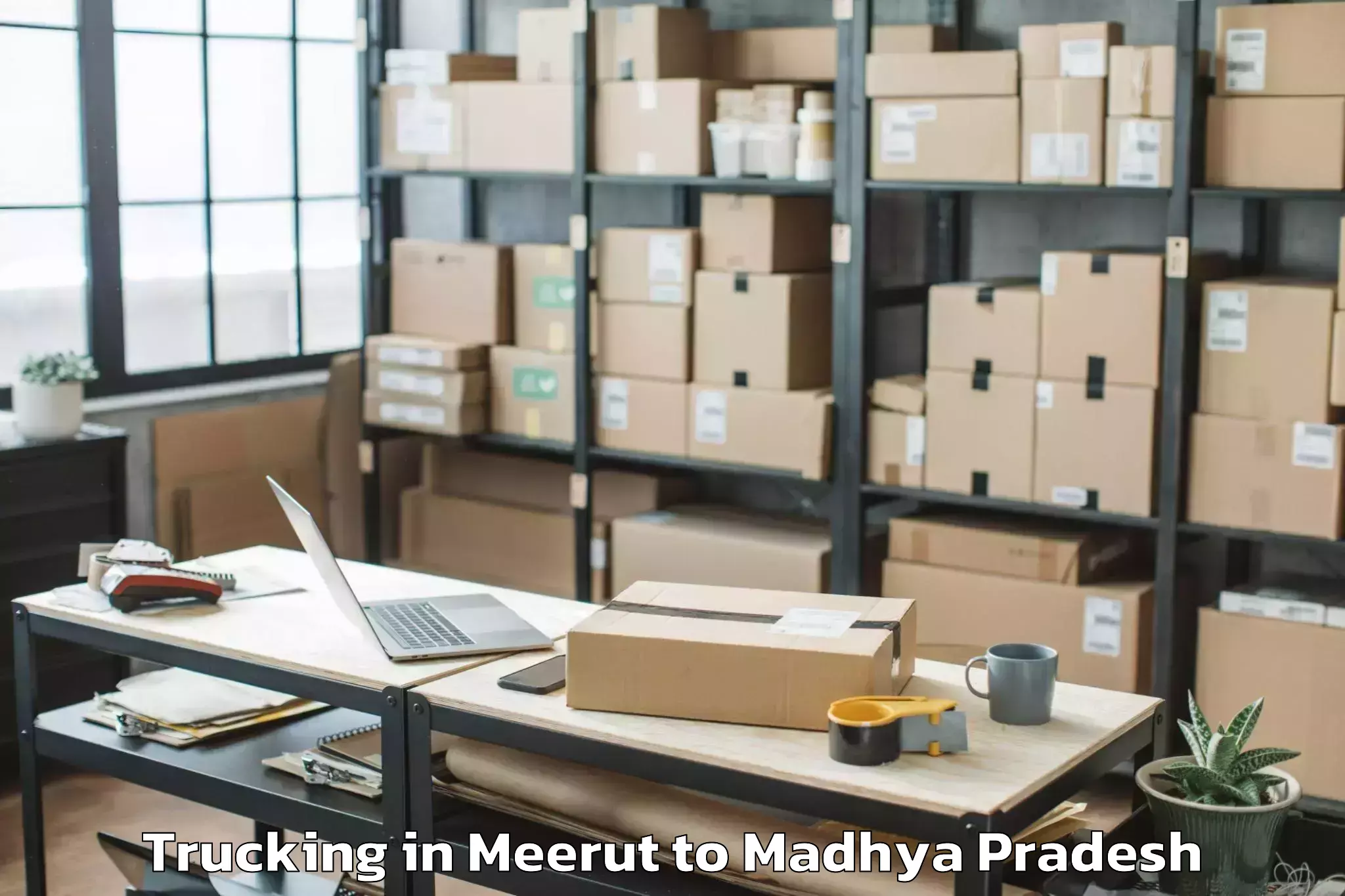 Top Meerut to Tendukheda Trucking Available